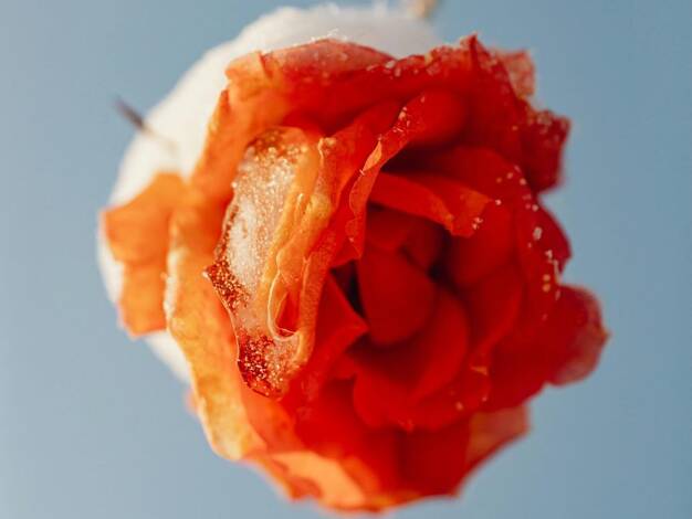 Einfamilienhaus zum Kauf 844.900 € 5 Zimmer 187 m² 1.104 m² Grundstück Wilstorf Hamburg 21079