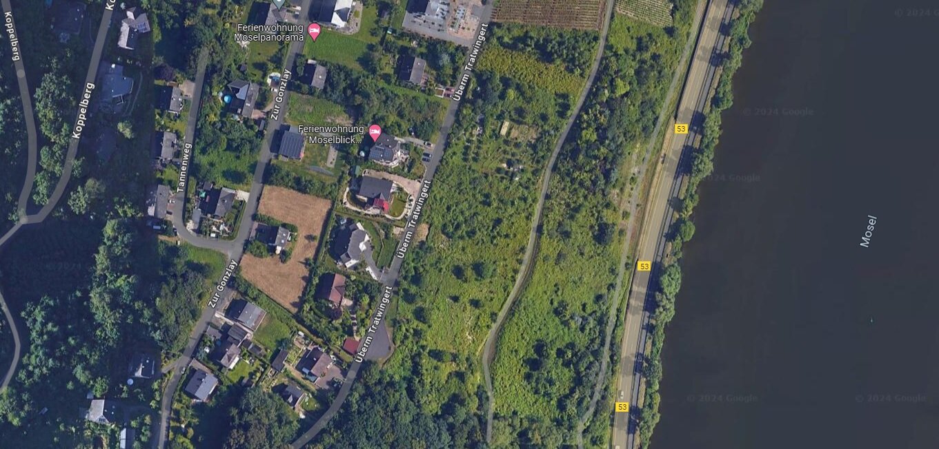 Landwirtschaftliche Fläche zum Kauf provisionsfrei 3.900 € 757 m²<br/>Fläche 757 m²<br/>Grundstück Überm Tratwingert östlich Wolf Traben-Trarbach 56841