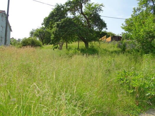 Grundstück zum Kauf 49.000 € 417 m² Grundstück Gemünden Weilrod 61276