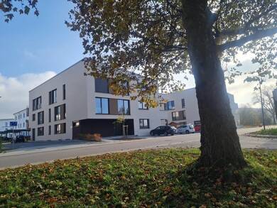 Wohnung zum Kauf provisionsfrei 495.000 € 2,5 Zimmer 89,7 m² EG frei ab sofort Wolfenweiler Schallstadt 79227