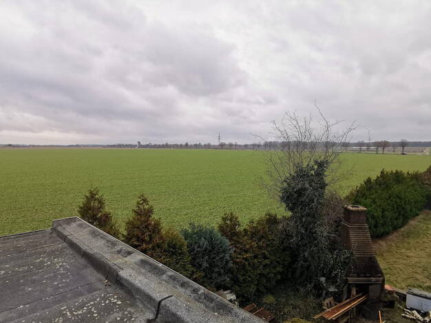 Einfamilienhaus zum Kauf provisionsfrei 290.000 € 6 Zimmer 250 m² 839 m² Grundstück Salzgitter 38239