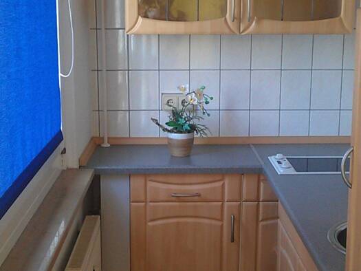 Studio zur Miete 450 € 1 Zimmer 28 m² Geschoss 3/5 frei ab 01.08.2026 Uhlandstraße 4 Südvorstadt-Ost Dresden 01069
