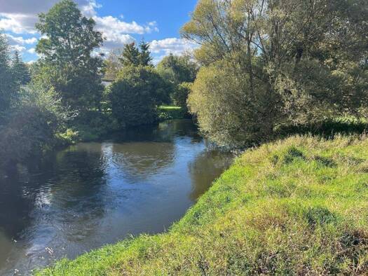 Wohnung zum Kauf provisionsfrei 470.000 € 5 Zimmer 147 m² 2. Geschoss frei ab sofort Innenstadt Halle (Saale) 06108