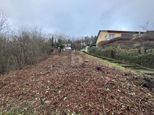 Grundstück zum Kauf 120.000 € 1.173 m² Grundstück Lieser 54470