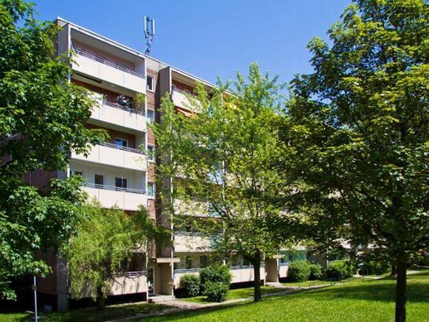Wohnung zur Miete nur mit Wohnberechtigungsschein 301 € 1 Zimmer 26,6 m² frei ab 13.11.2026 Sanddornstraße 9 Gorbitz-Nord/Neu-Omsewitz Dresden 01169