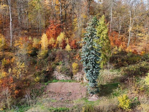 Grundstück zum Kauf 239.000 € 2.320 m² Grundstück Eisenach 99817