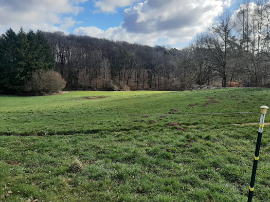 Grundstück zum Kauf 383.000 € 2.127 m² Grundstück Waldmohr 66914