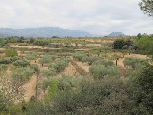 Acker-/Waldstück zum Kauf 45.000 € Horta de Sant Joan 43596