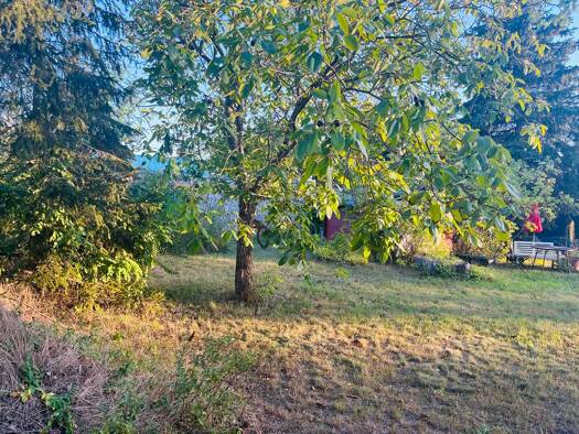 Grundstück zum Kauf 225.000 € 450 m² Grundstück Niederdorla Berlin 12623