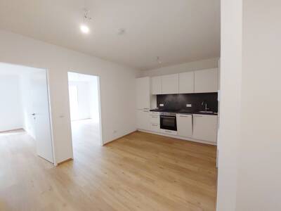2-Zimmer-Wohnung mit Balkon, 53 m², Liesing, Liesing