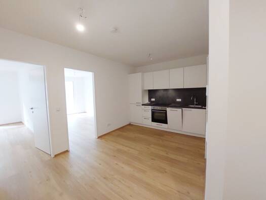 2-Zimmer-Wohnung mit Balkon, 53 m², Liesing, Liesing
