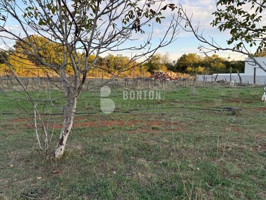 Grundstück zum Kauf 98.000 € Policnik 23241