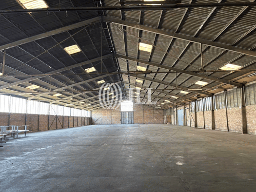 Lagerhalle zur Miete 4 € 2.646 m² Lagerfläche teilbar ab 2.646 m² Baßgeige Goslar 38644