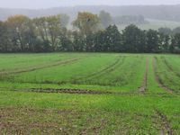 Landwirtschaftliche Fläche zum Kauf 500.000 m²<br/>Grundstück Bühne Kalbe (Milde) 39624