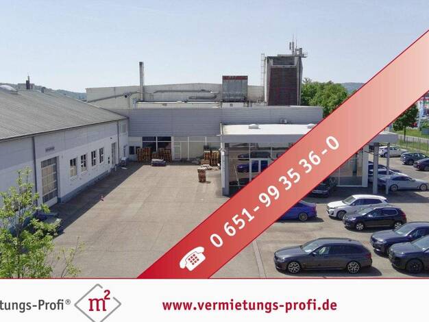 Lagerhalle zur Miete 2.170 € 310 m² Lagerfläche Zewen Trier / Euren 54294