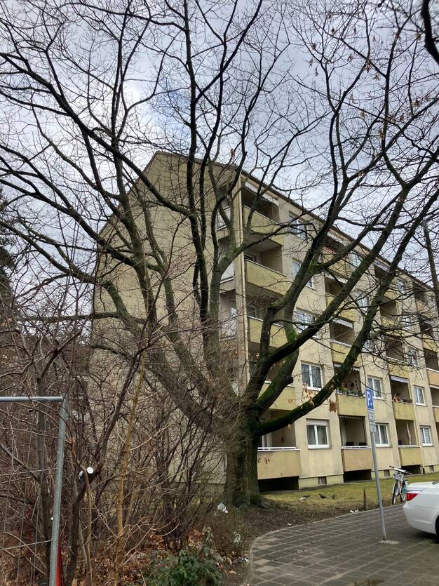 Grundstück zum Kauf provisionsfrei 695.000 € 770 m² Grundstück St Leonhard Nürnberg 90439