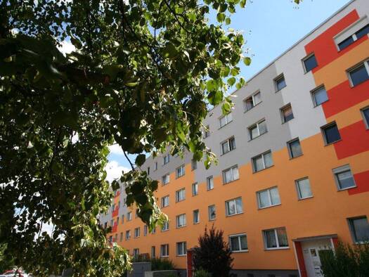 Wohnung zur Miete 294 € 2 Zimmer 48,9 m² EG Straße der Völkerfreundschaft 119 Lutherstadt Wittenberg 06886