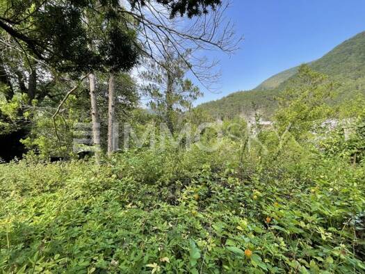 Grundstück zum Kauf 220.000 € 2.000 m² Grundstück Waldegg 2754