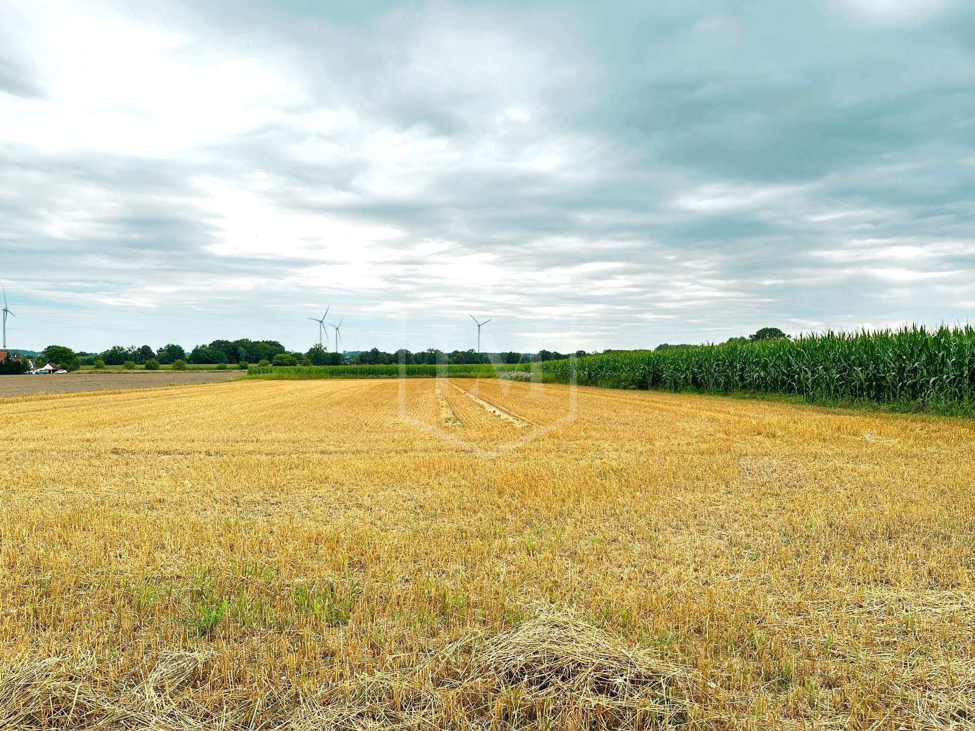 Landwirtschaftliche Fläche zum Kauf 410.000 € 36.654 m²<br/>Grundstück Statistischer Bezirk 11 Hamm 59065