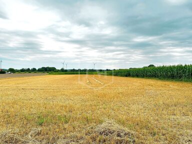 Landwirtschaftliche Fläche zum Kauf 410.000 € 36.654 m² Grundstück Statistischer Bezirk 11 Hamm 59065