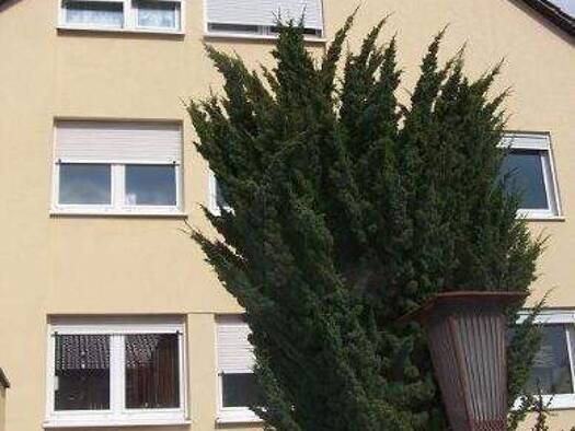 Wohnung zur Miete 495 € 2 Zimmer 50,3 m² frei ab sofort Donat-Grömling-Str. 3 Rimpar 97222