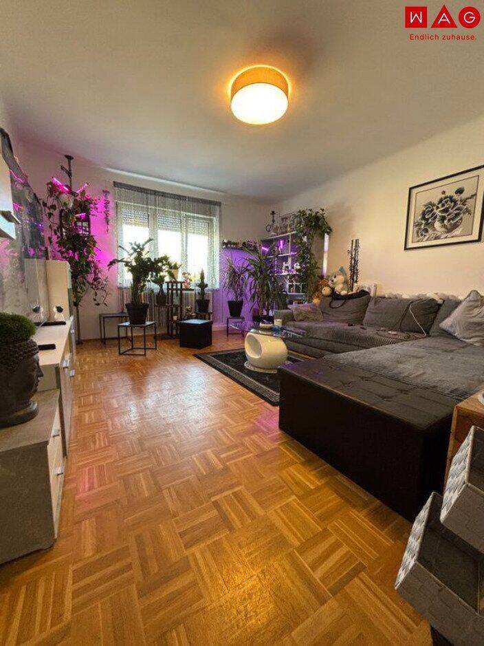 Wohnung zur Miete