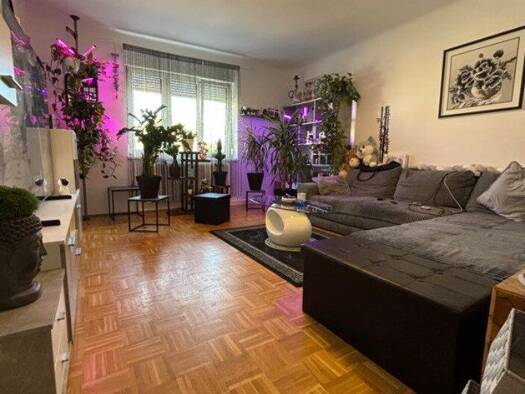 Wohnung zur Miete 469 € 2 Zimmer 55,1 m² EG frei ab 01.11.2026 Carl-Richter-Straße 7 Wels Wels 4600