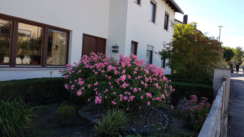 Mehrfamilienhaus zum Kauf provisionsfrei 649.000 € 9 Zimmer 232 m² 671 m² Grundstück Landershofen Eichstätt 85072