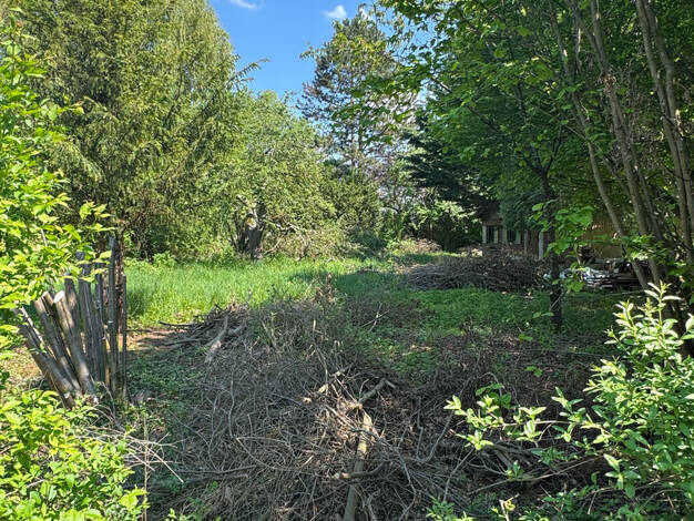 Grundstück zum Kauf 330.000 € 1.920 m² Grundstück Höchstädt Höchstädt a.d.Donau 89420