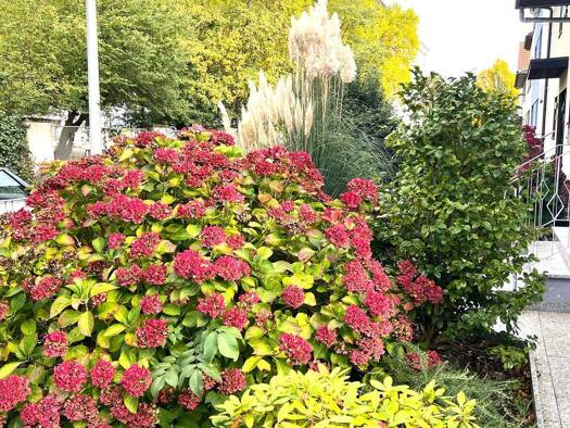 Wohnung zur Miete 850 € 3 Zimmer 70 m² EG frei ab sofort Käfertal Mannheim 68309