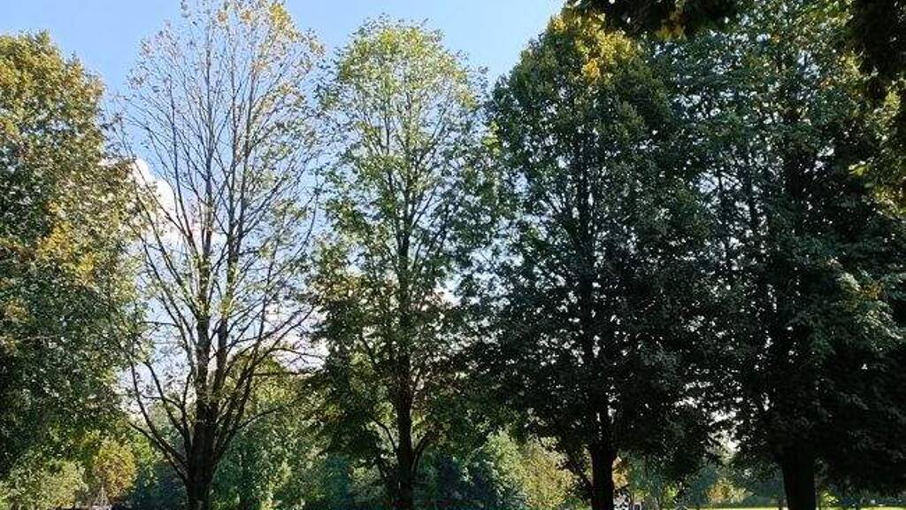 Studio zum Kauf 52.900 € 1 Zimmer 24 m² 2. Geschoss Bad Füssing 94072