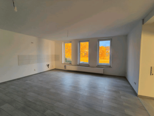 Wohnung zur Miete 1.000 € 2,5 Zimmer 160 m² Geschoss EG/1 frei ab sofort Mürschnitz Sonneberg 96515