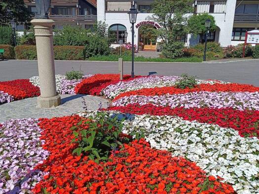 Studio zum Kauf 54.000 € 1 Zimmer 30 m² 1. Geschoss Bad Griesbach Passau_Kreis 94086