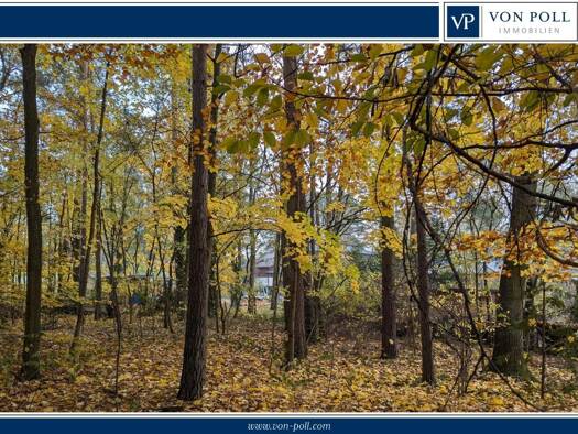 Grundstück zum Kauf 650.000 € 6.586 m² Grundstück Schmachtenhagen Oranienburg / Schmachtenhagen 16515