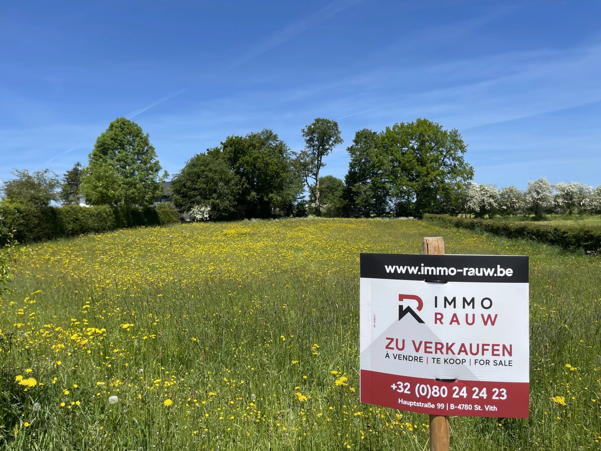 Grundstück zum Kauf provisionsfrei 134.800 € 3.260 m²<br/>Grundstück Mirfeld Amblève Amblève 4770