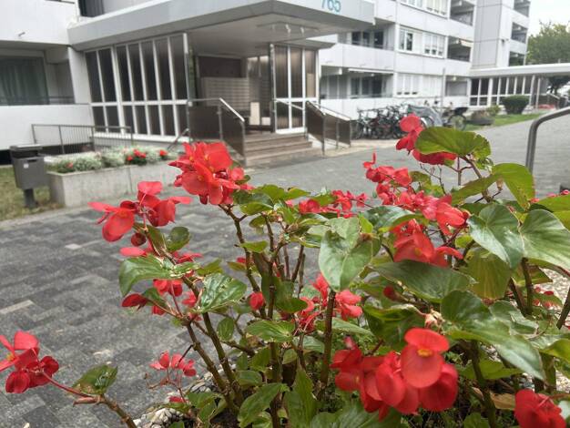 Wohnung zum Kauf provisionsfrei 270.000 € 3 Zimmer 90,3 m² 3. Geschoss Nieder-Eschbach Frankfurt am Main 60437