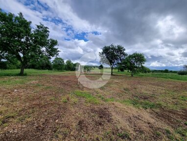 Land-/Forstwirtschaft zum Kauf 223.000 € Tar