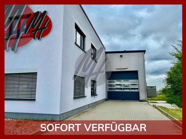 Lagerhalle zum Kauf 1.300.000 € 830 m² Lagerfläche Lorsch 64653