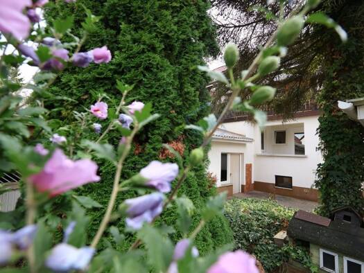 Doppelhaushälfte zum Kauf 350.000 € 10 Zimmer 185,3 m² 357 m² Grundstück frei ab sofort Reinheim 64354