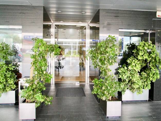 Büro zum Kauf provisionsfrei 2.366 € 1 Zimmer 111 m² Bürofläche Palma 07009