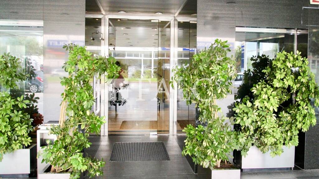 Büro zum Kauf provisionsfrei 2.366 € 1 Zimmer 111 m² Bürofläche Palma 07009