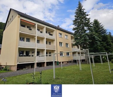 Wohnung zur Miete 240 € 2 Zimmer 49,6 m² Holzhau Rechenberg-Bienenmühle 09623