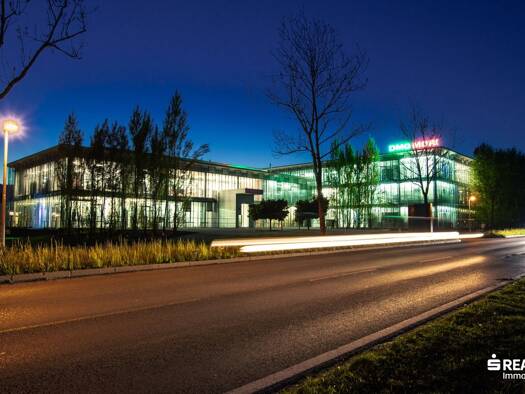 Büro zur Miete 21 € 55 m² Bürofläche Lustenau 6890