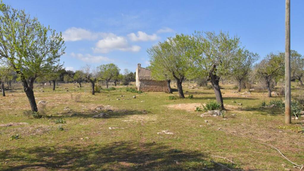 Einfamilienhaus zum Kauf 424.000 € 60 m² 38.537 m² Grundstück Son Servera 07550