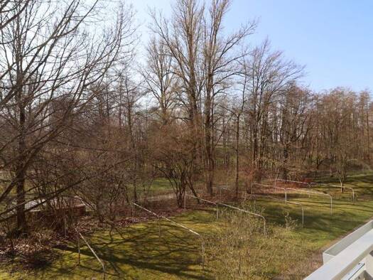 Wohnung zur Miete 288 € 2 Zimmer 48 m² 1. Geschoss frei ab sofort Albert-Schweitzer-Straße 48 Altendorf Chemnitz 09116