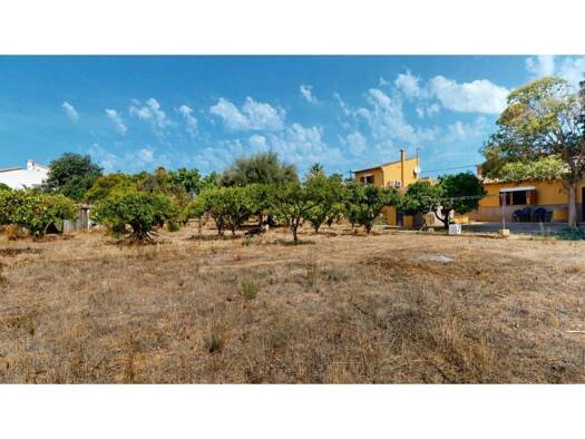 Acker-/Waldstück zum Kauf 795.000 € Palma 07120