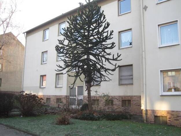 Wohnung zur Miete 630 € 2,5 Zimmer 63 m² frei ab 21.09.2026 Essener Str. 79 Stoppenberg Stadtbezirk VI 45141