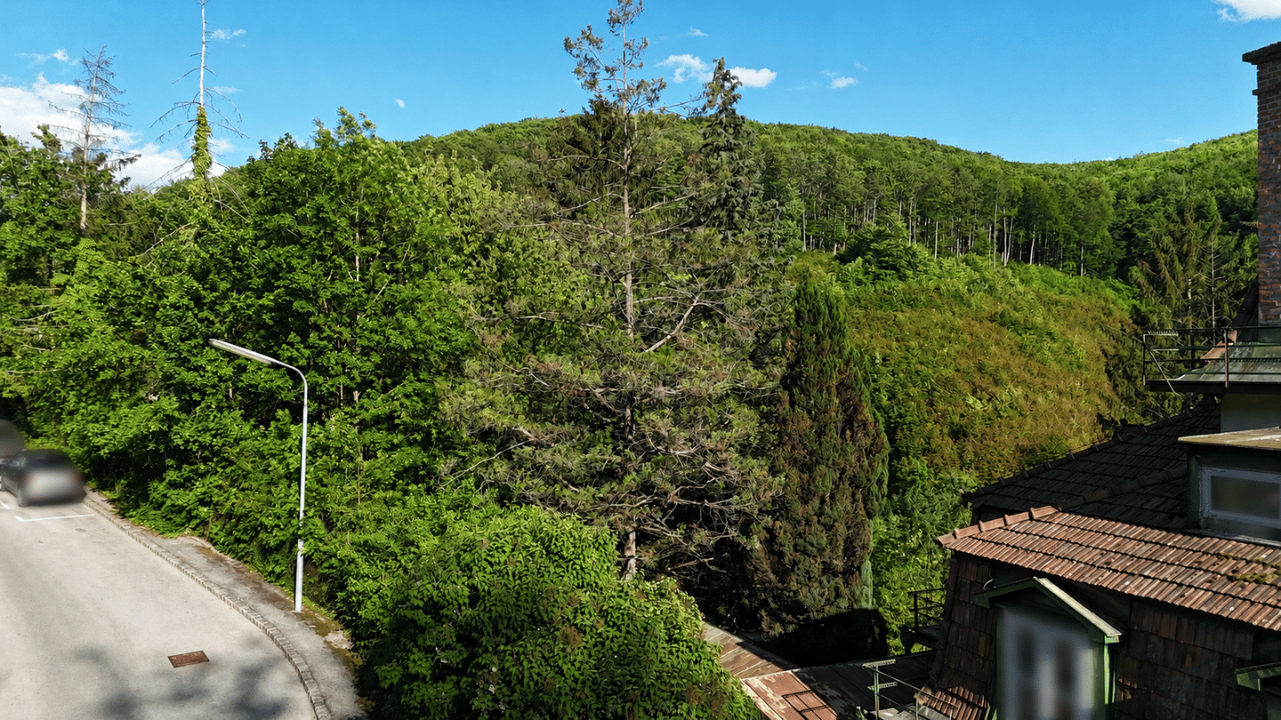 Grundstück zum Kauf - View 2