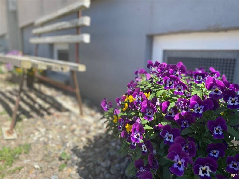 Wohnung zur Miete 366 € 3 Zimmer 61 m² frei ab 01.06.2025 Siedlerweg 3 Prüzen Gülzow-Prüzen 18276