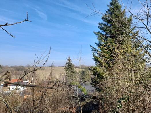 Grundstück zum Kauf provisionsfrei 200.000 € 760 m² Grundstück Schwarzenbach Burgthann 90559